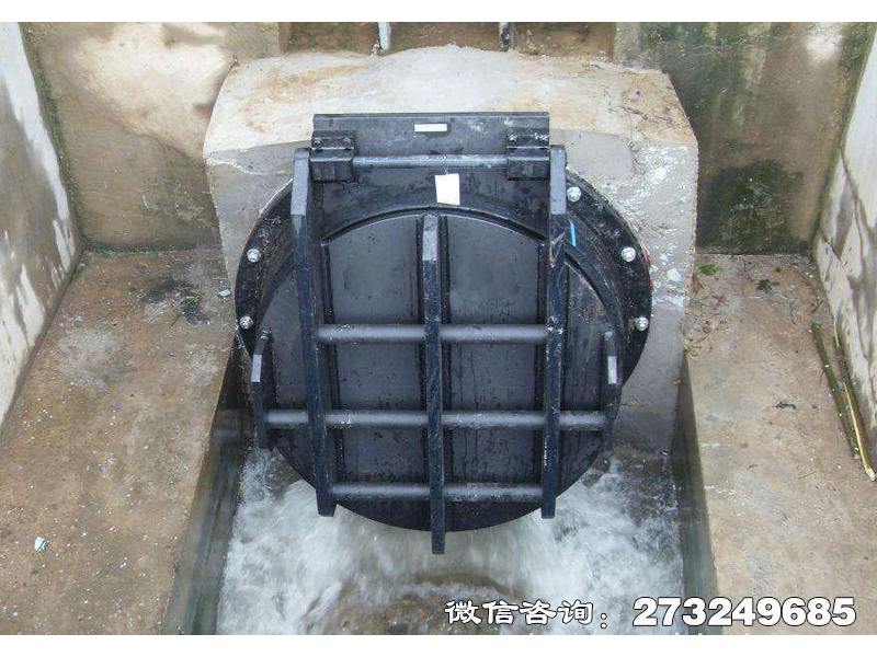 兴平钢制水渠拍门
