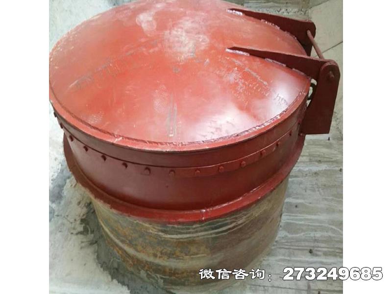 垦利县水渠逆止阀铸铁拍门